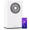 KLARSTEIN CircleDry 12L - Deumidificatore Smart, WiFi, Silenzioso: 38dB, Timer 24h, Drenaggio Continuo, Controllo umidità, Portatile per Casa, Bagno, Stanze Fino a 24m²