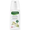 Rausch Spray districante per erbe svizzere (per capelli lunghi e ribelli, adatto per bambini, senza siliconi e parabeni, vegani), confezione da 1 (1 x 100 ml)