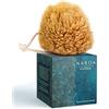NAROA Spugne di Luffa Naturale per Esfoliazione - Bagno e Doccia | Rete Esfoliante per il Corpo | Regalo Ecologico e Sostenibile per Adulti (Medio)