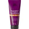 Urtekram Urte KRAM Nordica bacche Balsamo Bio, Capelli Danneggiati, 140 ML