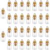 LWLWA Vasetti Vetro Piccoli 30 Pezzi, Barattoli Vetro con Tappo Sughero, 0.8 ml Bottigliette di Vetro Piccole Infrangibile, per Pendenti Collane Fai da Te, Bottiglie Profumo, Bottiglie Messaggi