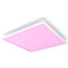 Philips by Signify Hue White and Color ambiance Surimu Pannello LED 60cm x [35507100]