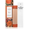 Ashleigh & Burwood London Exotic Spices 1 pz