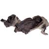 PRODAC TRONCO LEGNO RADICE NATURALE MOPANI PER DECORAZIONE ACQUARIO TERRARIO 40/60 CM