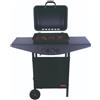 Sandrigarden Barbecue Argentina 2 Fuochi a Gas Acciaio 5kw