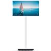 Thomson Smart TV 32 Pollici HD Ready Display LCD Sistema Android Classe E Go TV Portatile e Girevole - 32HA4M44