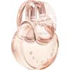 Bvlgari Omnia Crystalline Eau de Parfum 50ml