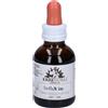 ERBENOBILI Srl Influvin 50Ml