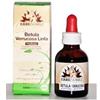 ERBENOBILI Srl FITOBLASTO BETULLA VERR LIN 50