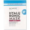 SAN.ECO.VIT. Srl Hyaluronica Mask Antiage Incarose 17ml