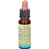 Fiori Di Bach 30 Sweet Chestnut Leo 10 ml Gocce orali