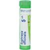 BOIRON Srl Euphrasia Officinalis 5CH Boiron 80 Granuli