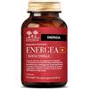 Salugea ENERGEA+ NUOVA FORMULA SALUGEA 60 CAPSULE