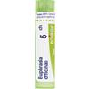 BOIRON Srl BO.EUPHRASIA OFF.Tubo 5CH