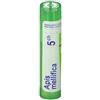 BOIRON SRL Boiron Apis Mellifica 5CH Granuli Confezione da 4g 80 granuli