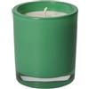 BRANDANI Candela Gelsomino Verde