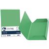Favini Cartellina 3 lembi Favini FOLDER 3L Luce&Acqua 200 g/m 24,5x34,5 cm verde 60 conf.25 - A50D434