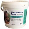 NBF Lanes | Gastro Horse Relax - Supporto per la Mucosa Gastrica con Pectina, Gomma di Guar e Argilla Caolinitica