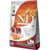 Farmina Natural & Delicious Pumpkin Grain Free Adult Medium & Maxi con Pollo, Zucca e Melograno - Farmina - Natural & Delicious Pumpkin Grain Free Adult Medium & Maxi con Pollo, Zucca e Melograno - 2,50KG