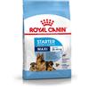 Royal Canin Maxi Starter Mother & Baby Dog - Royal Canin - Maxi Starter Mother & Baby Dog - 4KG