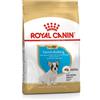 Royal Canin Bulldog Francese Junior - Royal Canin - Bulldog Francese Junior - 3KG