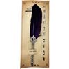 Penna stilografica in blister 6 pennini viola