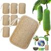 DEEDPF 6 pezzi di spugna di luffa organica, esfoliante, biodegradabile e compostabile, per cucina, bagno e campeggio