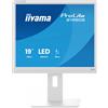 IIYAMA Monitor IIYAMA ProLite B1980S-W1 19" Bianco SXGA TN HDMI DP Ergonomischer Standfuß