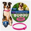 Tempotech Collare Antiparassitario per Cani - 8 Mesi di Protezione contro Pulci, Zecche, Zanzare e Acari - Efficace e Sicuro 100% Naturali (1, ROSA, 72CM)
