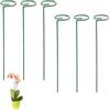 Granmagazz 6 Pezzi 40CM Pali di Supporto per Piante,Paletto di Supporto a Stelo Singolo Diametro 6.5CM Anello di Supporto,giardino singolo stelo supporto palo Amaryllis pianta gabbia anelli di supporto