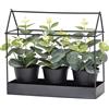 VESTIAMO CASA - Set 3 Piante Artificiali Eucalipto in Serra Decorativa in Metallo Nero h22x24x10 cm
