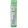 BOIRON SRL FERRUM PHOSPHORICUM 5CH 80GR4G