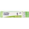 Achillea millef 5ch gr - - 800021216