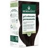 ANTICA ERBORISTERIA SPA HERBATINT 3N CASTANO SCU 170ML