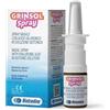 BIOTRADING SRL UNIPERSONALE GRINSOL SPRAY NASALE 30ML