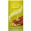 Lindt Cioccolato LINDOR Pistacchio | Lavagna 100 G | Cioccolato al latte intero con un riempimento infinito delicato con sapore di pistacchio | Cioccolato | Regalo di cioccolato