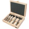 Fisch 04300005K Profi - Set di 5 punte universali per taglierina in valigetta di legno, 0 V, colore: argento/grigio/beige, 15-35 x 60/90 mm