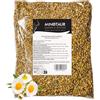 Minotaur Herbs | Veri Fiori di camomilla secchi | 2 x 500g (1 kg) | Camomilla