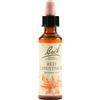 Fiori di bach Schwabe Fiori di Bach Red 25 Chestnut Gocce 20 ml