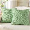 decorUhome Set di 2 federe decorative per cuscini in morbida lana sintetica, primaverili, per divano, per la casa, 45 x 45 cm, verde salvia