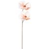 DRW Set di 6 rami di magnolie con 2 fiori di poliestere rosa 1x1x80 cm