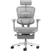 PROCOMFORT ERGOHUMAN Elite Evolution + Poggiagambe Poltrona Ergonomica Che Si Adatta alla Postura con Telaio in Alluminio e Rivestimento in Mesh ad Alta Resistenza all'Usura