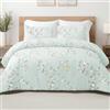 Exclusivo Mezcla Piumino letto Matrimoniale con 2 federe, Piumino trapuntato con motivo floreale per tutte le stagioni, leggero e caldo, 220x230 CM, Verde pallido