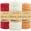 AHPYEUHK 3mm Filo per Macrame 3 rotoli Set di Corda Macrame 300m Corda Macrame Naturale, Macramè Filo Morbido per Arazzi, Appendini per Piante, Artigianato Fai da Te (rosso mattone beige rosso vino)