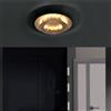 Paul Neuhaus Nevis lampada a soffitto LED, 9620-12, Nevis [Lampade per Interni > Lampade a Soffitto]