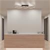 Paul Neuhaus Polina lampada a soffitto, LED, 9143-18, Polina [Lampade per Interni > Lampade a Soffitto]
