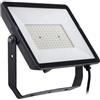 Philips Projectline faretto, LED, 8719514954465, Projectline [Lampade per Esterni > Punti Luce e Faretti]