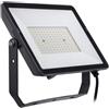 Philips Projectline faretto, LED, 8719514954472, Projectline [Lampade per Esterni > Punti Luce e Faretti]