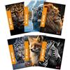 BM BeMore WILD Maxi quaderni in formato A4 - Rigatura 10F, quadretti 10 mm con margini per 1° elementare- Set da 10 pezzi con copertine assortite fantasia animali - 72 pagine, carta da 100g