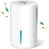 Gocheer Deumidificatore elettrico, mini deumidificatore portatile, 2000 ml, per bagno, appartamento, camera da letto, cantina, essiccatore, portata massima 30 m²